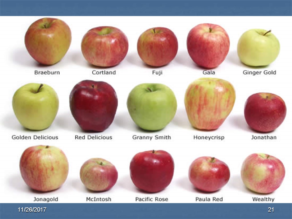 21 11/26/2017 21 11/26/2017